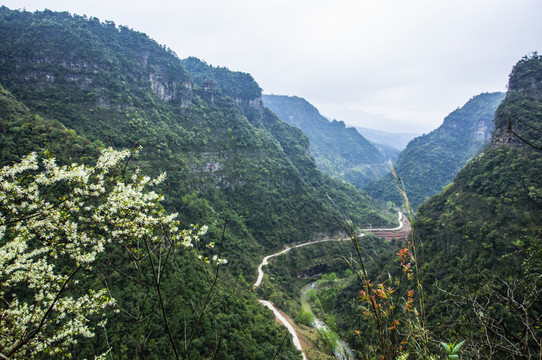 山路彎彎