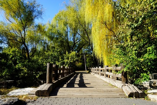 植物園