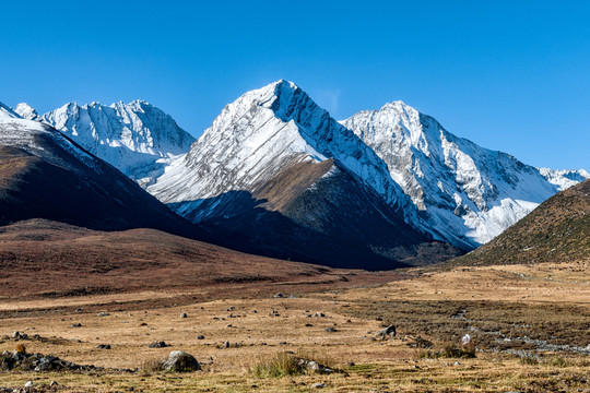 四川德格雀兒山雪山