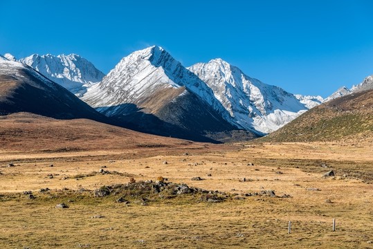 四川德格雀兒山雪山