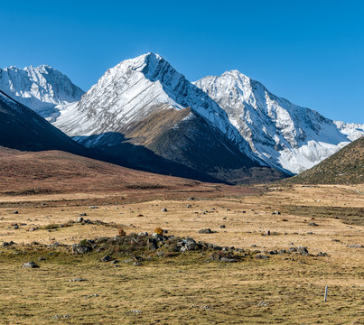 四川德格雀兒山雪山