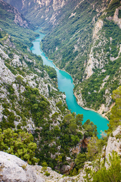 旅行