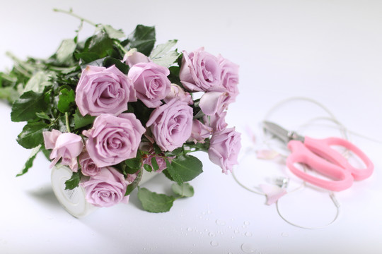 玫瑰花
