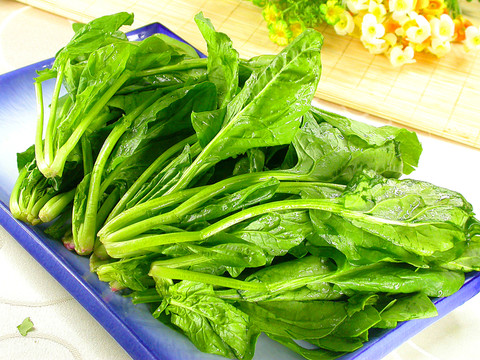 菠菜 新鮮食材