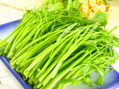 空心菜 新鮮食材