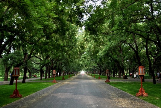 北京天壇綠蔭大道
