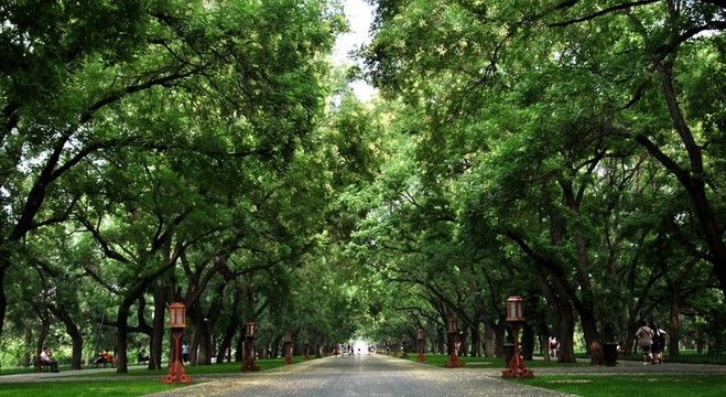 北京天壇綠蔭大道