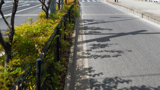 道路圍欄