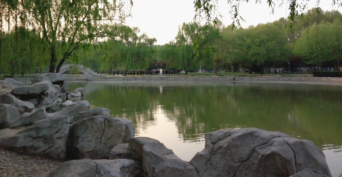 公園一角