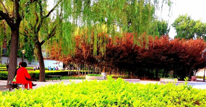 公園一角