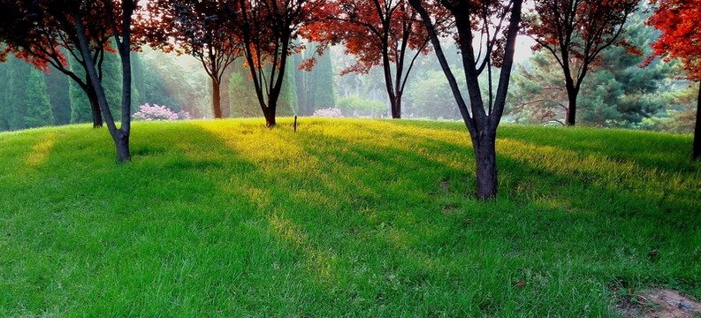 公園