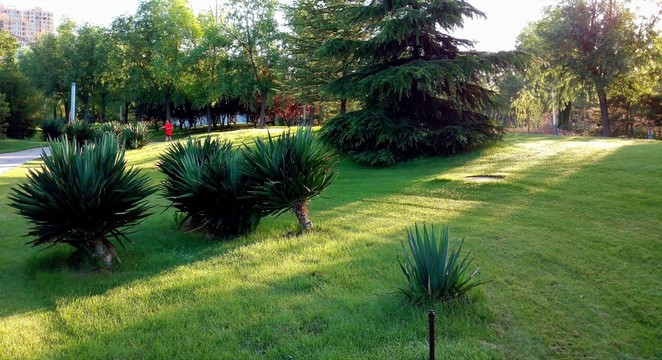 公園