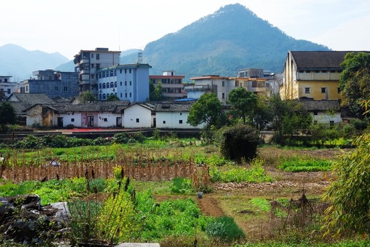 小鎮(zhèn)田園