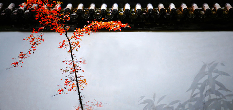 園林圍墻紅葉