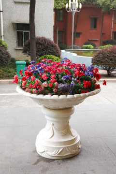 花壇