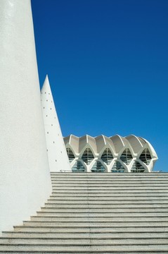 museo de ciencias  - 瓦倫西亞