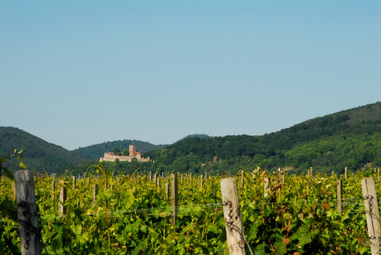 burg landeck