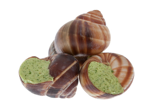 蝸牛