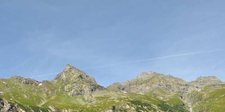 山