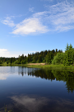 etang des royes