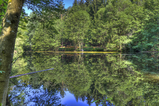 Waldsee的