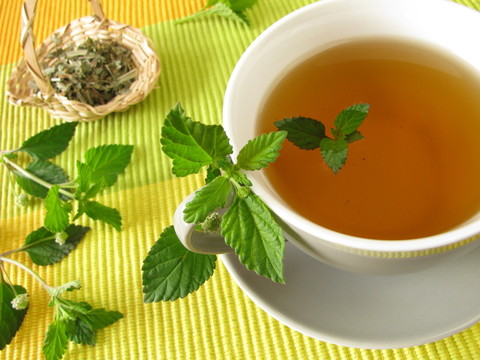 阿茲臺克甜草本茶