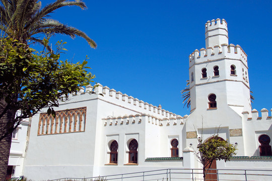 colegio cervantes