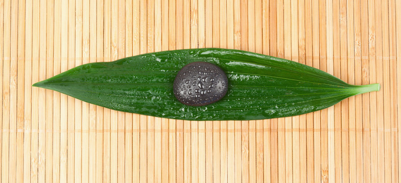 美麗的