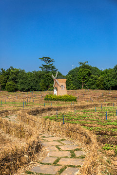 海珠濕地公園