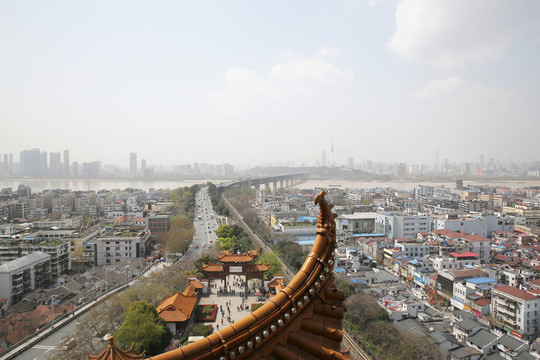 武漢城市建筑1