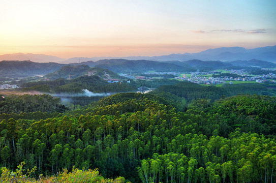 玉林龜山公園