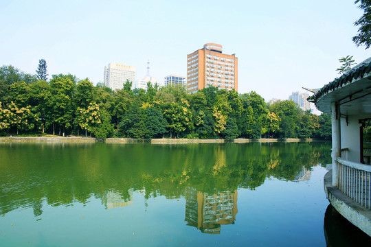 合肥稻香樓公園