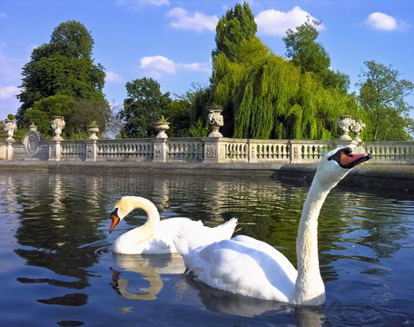 公園