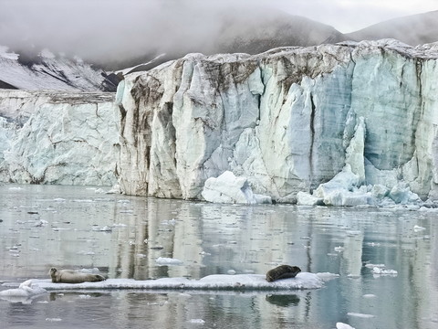 旅游