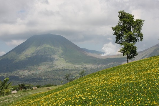 洛孔火山