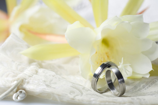 在輕的背景的結(jié)婚戒指