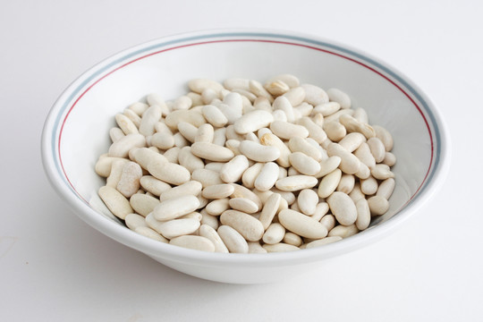 食物