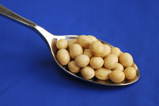 食物