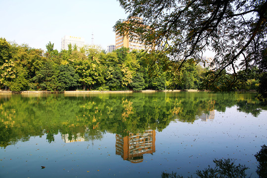 合肥稻香樓護(hù)城河