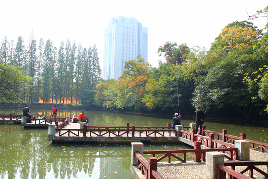 合肥稻香樓公園