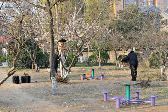 公園遛鳥 晨練 休閑娛樂