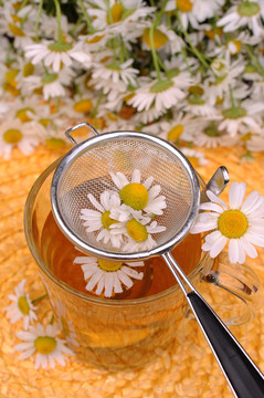 甘菊茶