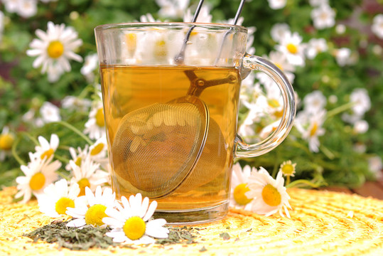 甘菊茶