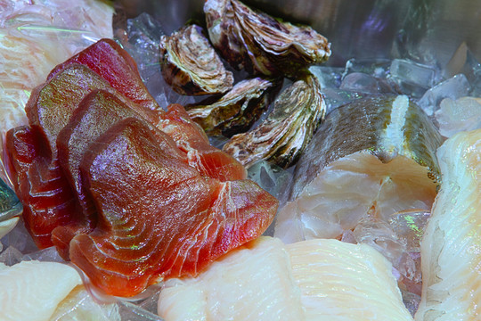 魚(yú)