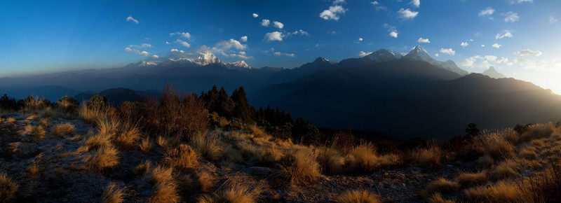 山