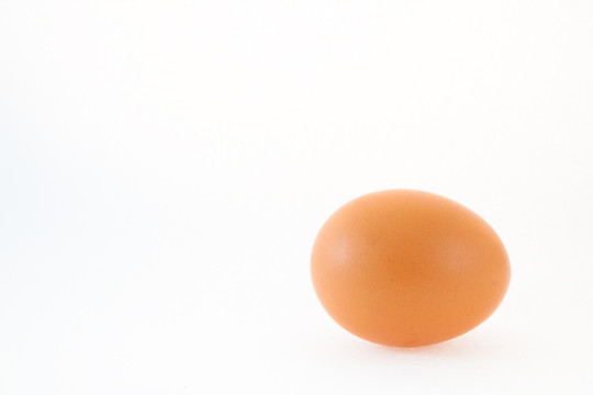 食物