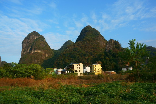 新農(nóng)村