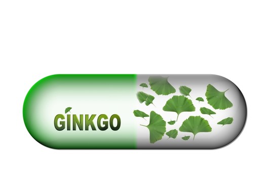 銀杏膠囊載體