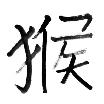動物