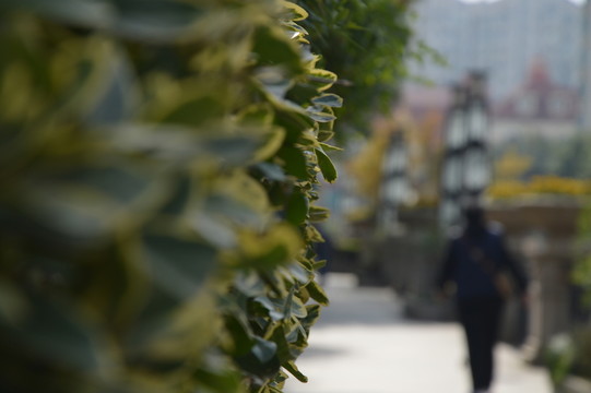 晨跑